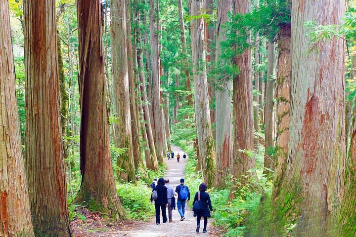 Togakushi: A Serene Walk Through Sacred Forests & Soba Traditions — photo 8