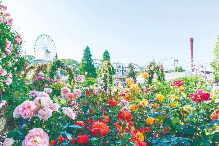 Hirakata Park Adventure Admission Ticket — photo 4