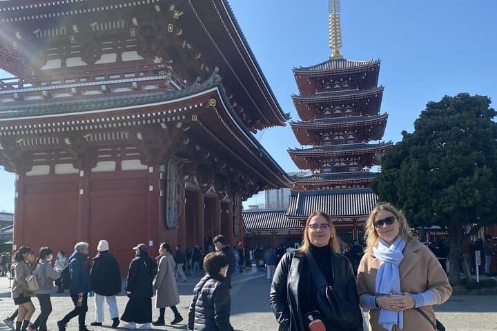 Tokyo Private Driver-Guided Tour — photo 8