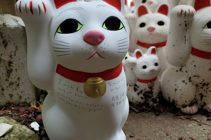 Tokyo Private Driver-Guided Tour — photo 11