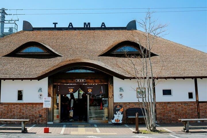 Wakayama Cute Cat and Outlet Shopping Day Tour — photo 4