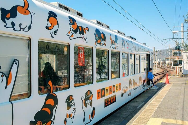 Wakayama Cute Cat and Outlet Shopping Day Tour — photo 7