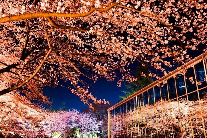 Hana Biyori Flower Park Admission Ticket in Tokyo — photo 3