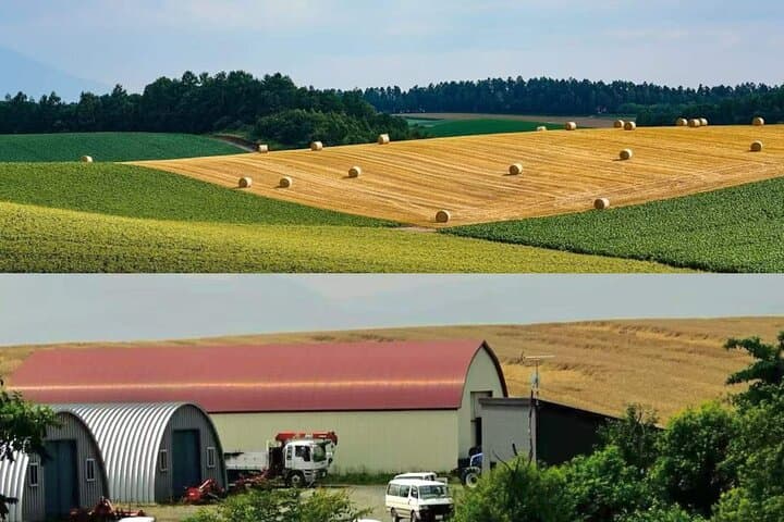 Hokkaido Day Tour Farm Tomita, Blue Pond, Blue Pond and Buffet — photo 14