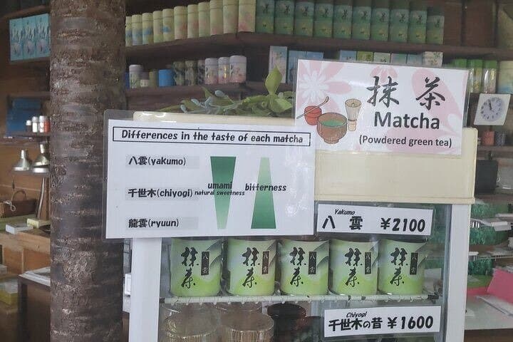 Ryugeji, Greentea Hall, Yumeterrace, & Minowa Inari Guided Tour — photo 17