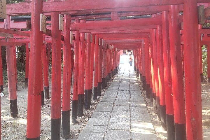 Ryugeji, Greentea Hall, Yumeterrace, & Minowa Inari Guided Tour — photo 12