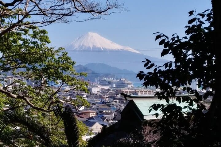 Ryugeji, Greentea Hall, Yumeterrace, & Minowa Inari Guided Tour — photo 3