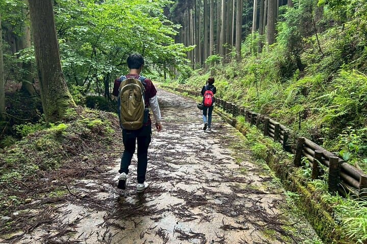 e-bike Head to the Healing Cave, Himeji Hidden Land Ride and Hike — photo 3