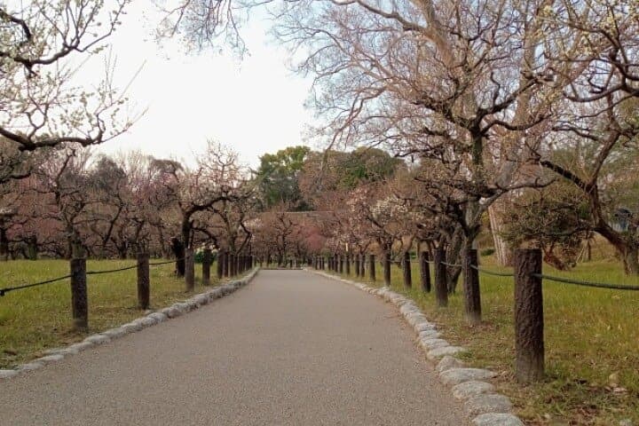 Osaka Highlights Retro Town and Castle Walk — photo 5