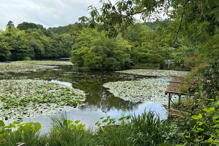 Kyoto: Golden Pavilion and Ryoan-ji Zen Garden Guided Tour — photo 11