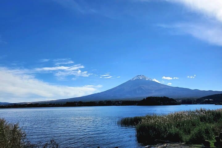 Mount Fuji Five Lakes Private Tour (Customizable) — photo 4