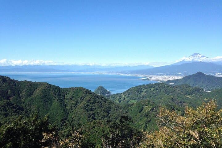 Mt Fuji and Izu Deep View 2 Day Tour from Tokyo — photo 13