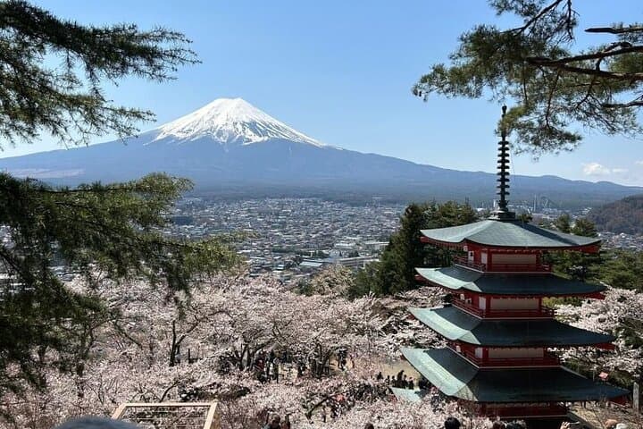 Mt Fuji and Izu Deep View 2 Day Tour from Tokyo — photo 6