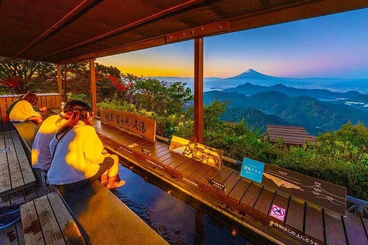 Mt Fuji and Izu Deep View 2 Day Tour from Tokyo — photo 8
