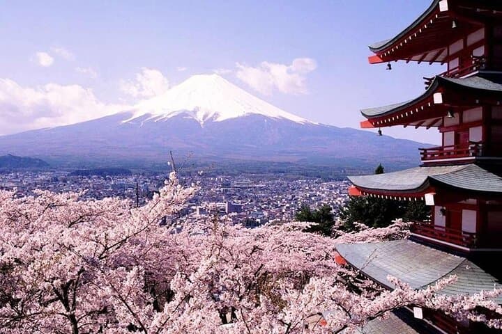 Mt Fuji and Izu Deep View 2 Day Tour from Tokyo — photo 1