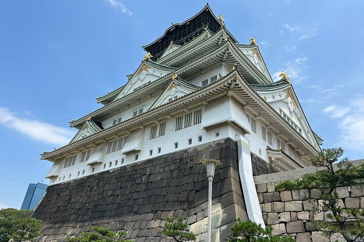Osaka Castle Walking Tour and Castle Tower Admission — photo 10