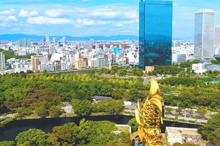 Osaka Castle Walking Tour and Castle Tower Admission — photo 8