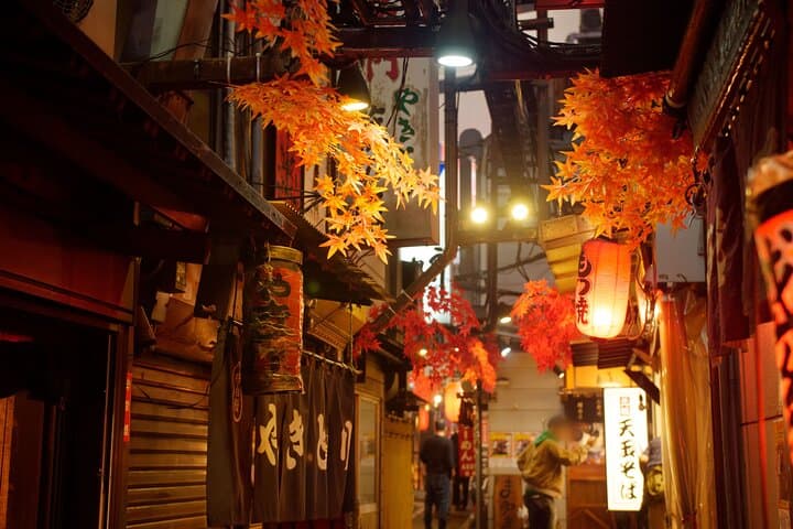 Shinjuku Local Bar Hopping with Dinner and Local Guide — photo 5