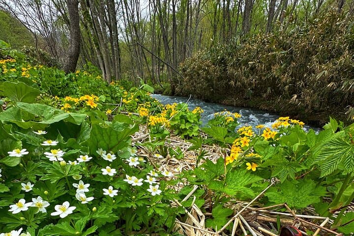 Private Fishing & Nature Experience in Hokkaido — photo 9