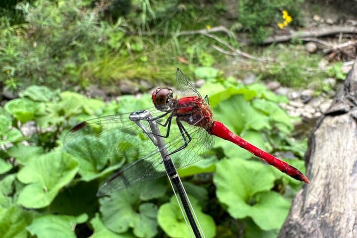 Private Fishing & Nature Experience in Hokkaido — photo 11