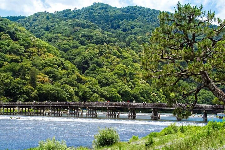 Kyoto: Arashiyama Bamboo Forest, Monkeys, Matcha & Temple Tour — photo 2