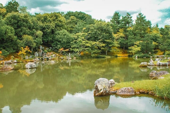 Kyoto: Arashiyama Bamboo Forest, Monkeys, Matcha & Temple Tour — photo 17
