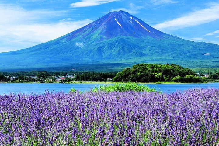Mt Fuji Kamakura Hakone and Atami Sea Boat Hanabi 2-Day Tour — photo 4