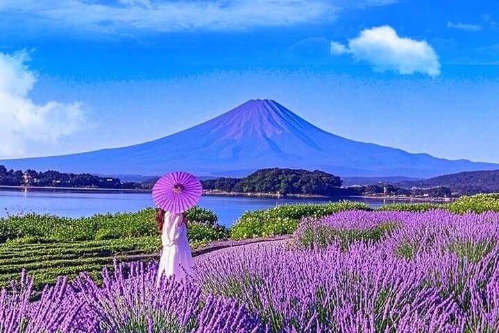 Mt Fuji Kamakura Hakone and Atami Sea Boat Hanabi 2-Day Tour — photo 11