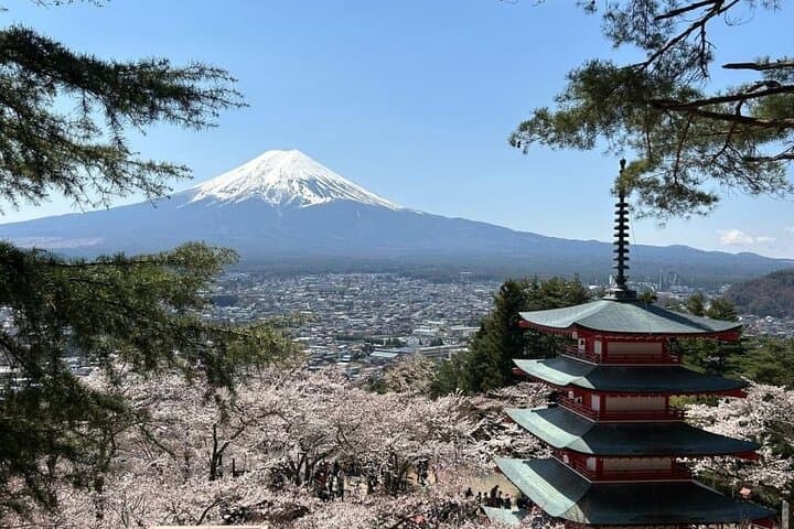Mt Fuji Kamakura Hakone and Atami Sea Boat Hanabi 2-Day Tour — photo 8