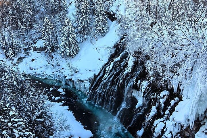Asahiyama Zoo, Biei tree, Shirohige Falls and Blue Pond Day Tour — photo 2