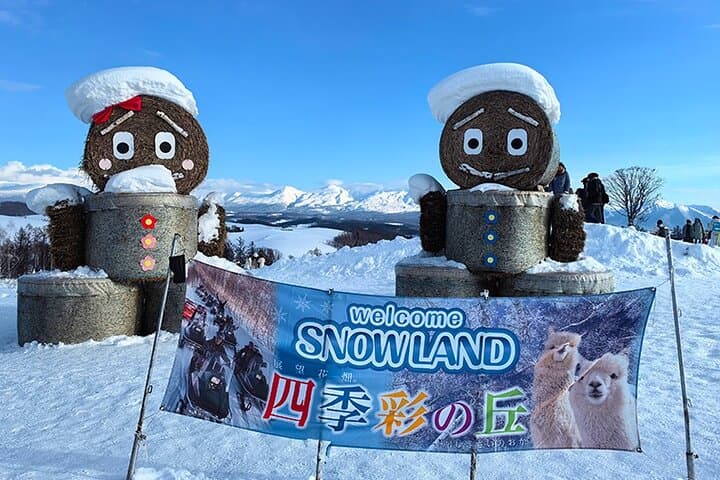 Asahiyama Zoo, Biei tree, Shirohige Falls and Blue Pond Day Tour — photo 5
