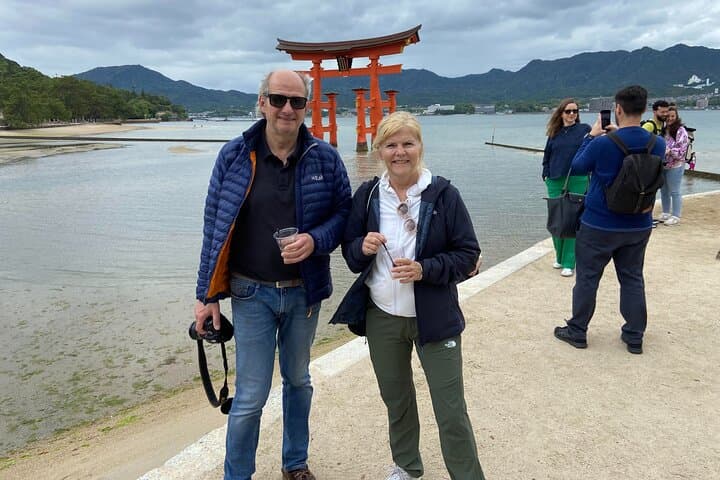 Shore Excursion from Hiroshima Port : Private Tour in Hiroshima — photo 2