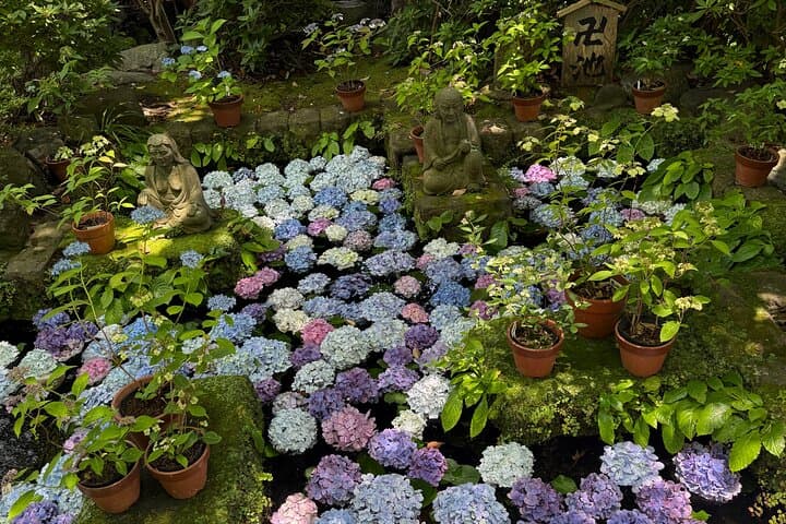 Kamakura Full or Half Day Historical and Memorable Tours — photo 7