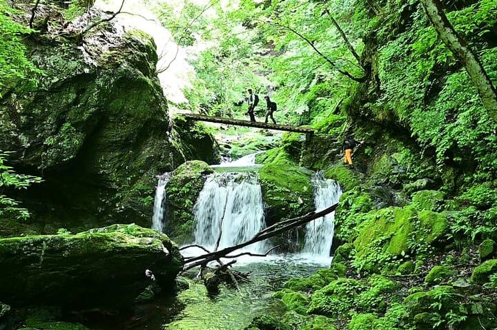 Hiking Adventure to Mt. Kawanori, into Tokyo’s Wilderness — photo 1