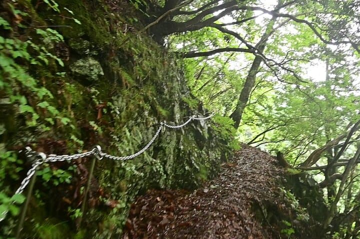 Hiking Adventure to Mt. Kawanori, into Tokyo’s Wilderness — photo 5