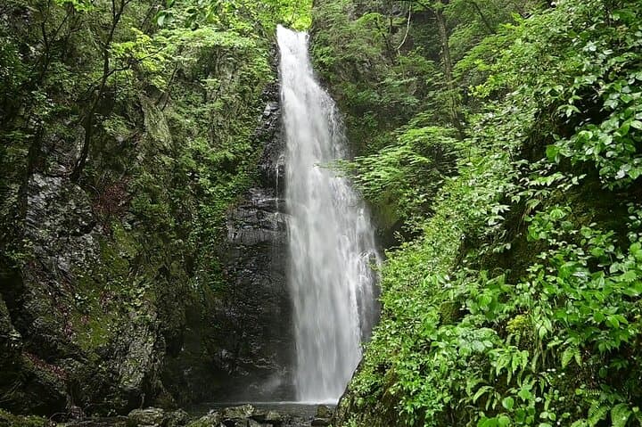 Hiking Adventure to Mt. Kawanori, into Tokyo’s Wilderness — photo 2