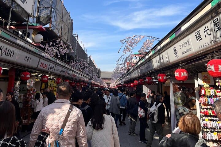 60-Minute Private Cruise in Asakusa — photo 3