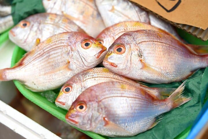 Follow a Sushi Chef’s Sourcing at Toyosu Market – A Special Tour — photo 7