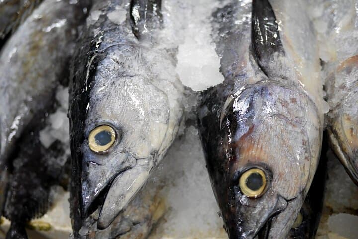 Follow a Sushi Chef’s Sourcing at Toyosu Market – A Special Tour — photo 8