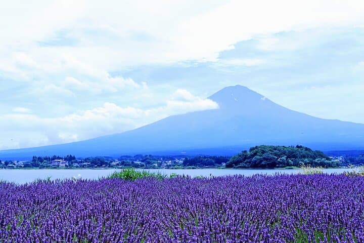 Mt. Fuji and Lake Kawaguchiko Private Full Day Tour — photo 7