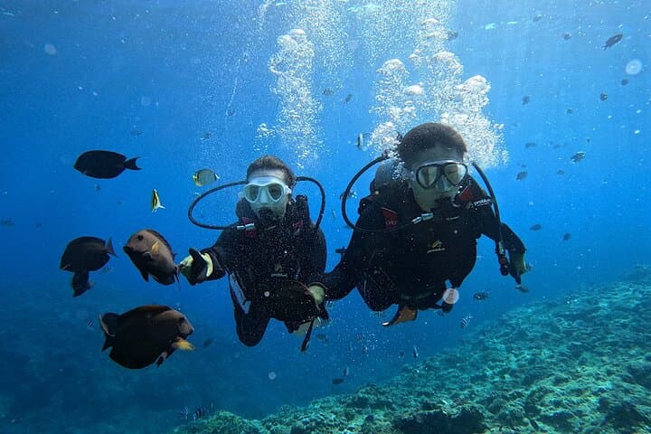 Blue Cave Private Group Introductory Diving Tour