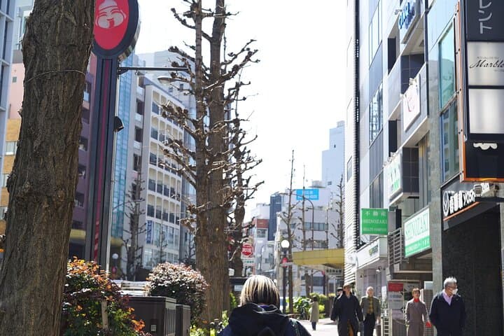 Hidden Tokyo Architectural Tour — photo 18