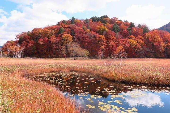 From Tokyo Day Trip Hiking Adventure in Oze National Park — photo 14