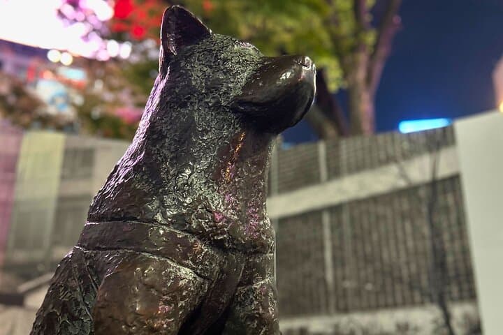 Shibuya Unlimited Food and Drinks Bar Hopping Tour — photo 7