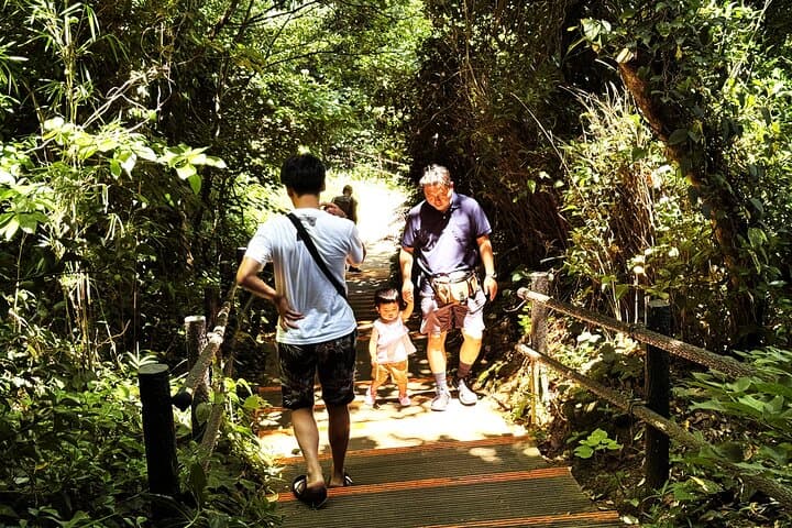 Yokosuka: Guided Island Tour to Sarushima’s Forgotten Fort — photo 9