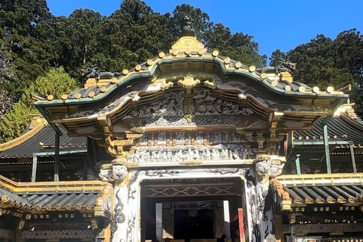 2 Day Tokyo to Nikko and Nasu Tour with Guide