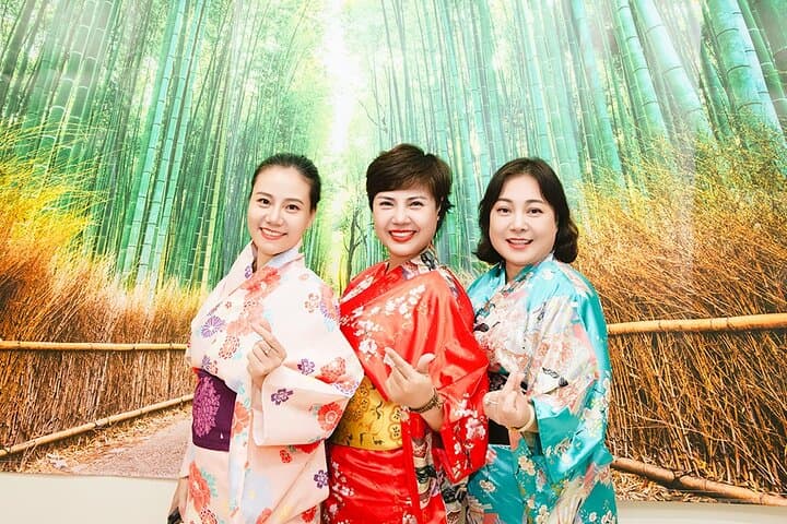 Osaka 6hr Private Guided Tour with Geisha Performance — photo 6