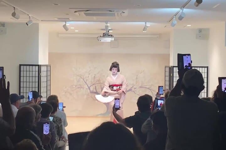 Osaka 6hr Private Guided Tour with Geisha Performance — photo 2