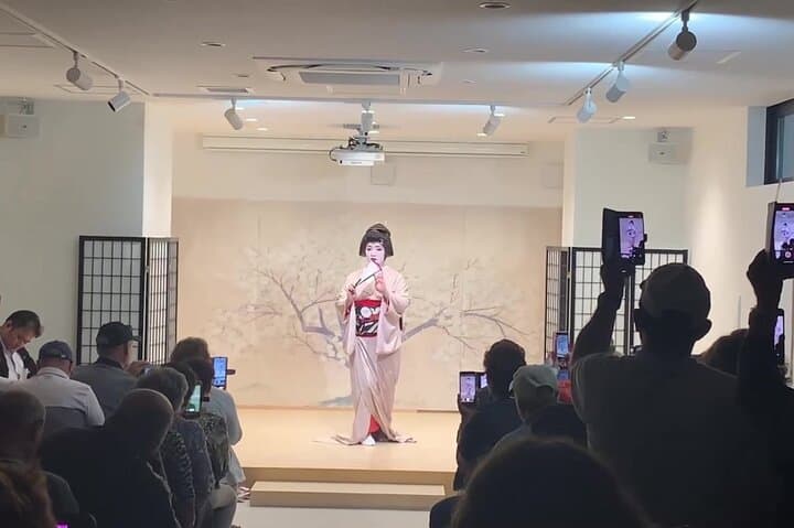 Osaka 6hr Private Guided Tour with Geisha Performance — photo 5