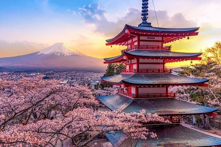 Mount Fuji Private Tour With English Guide Fully Customizable — photo 3